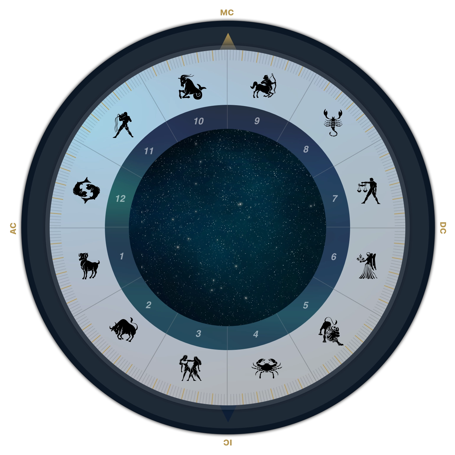 Birth Chart